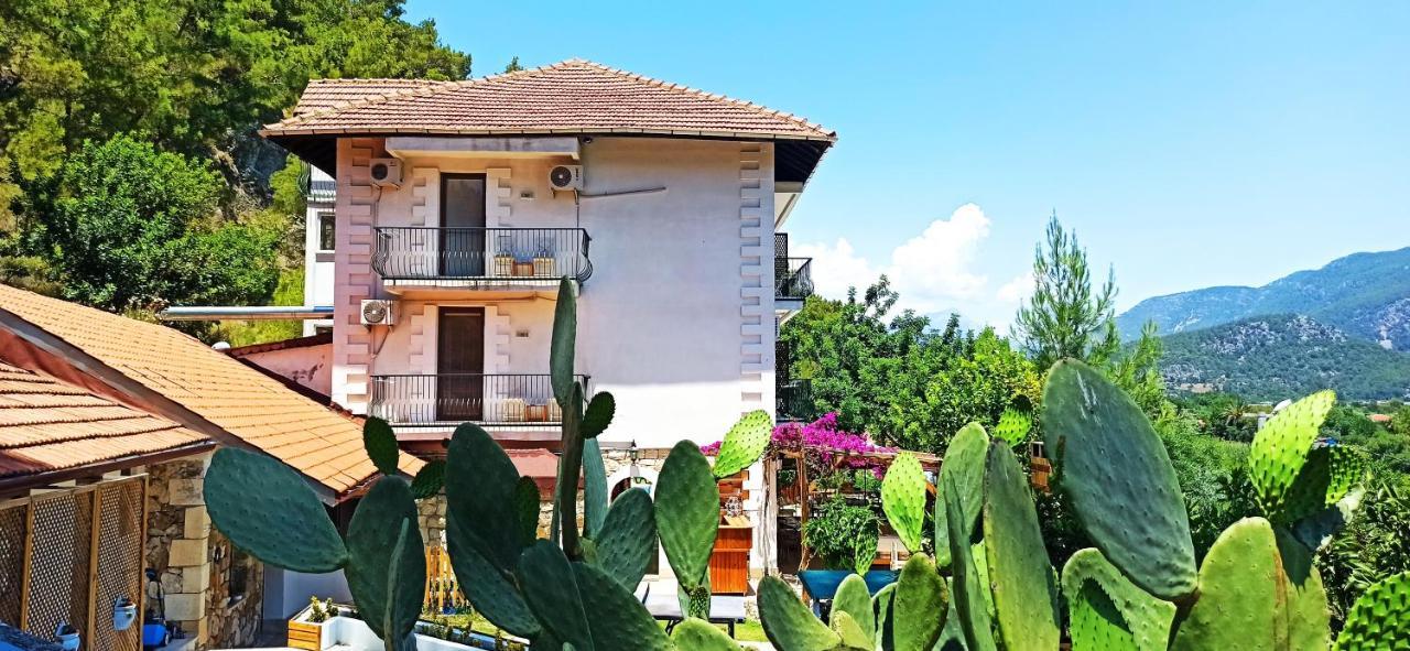 Swiss Eviniz Hotel (Adults Only) Adrasan Εξωτερικό φωτογραφία